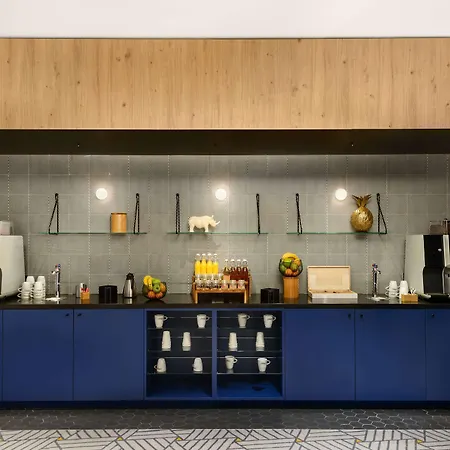 酒店 Hyatt Place Paris Charles De Gaulle Airport 鲁瓦西昂法兰西